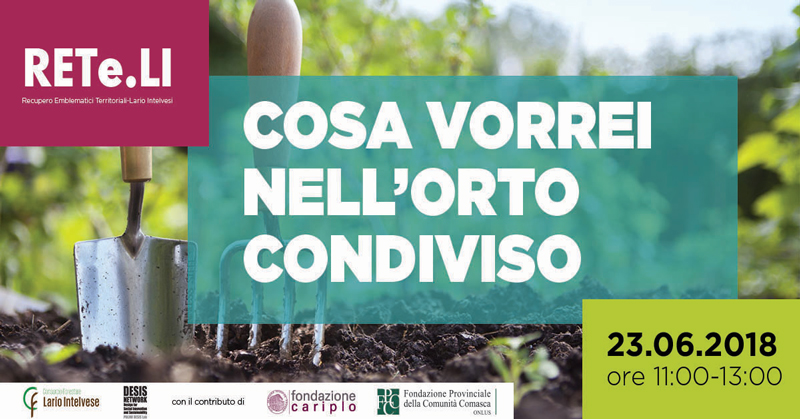 Layout spaziale: cosa vorrei nell’orto condiviso?