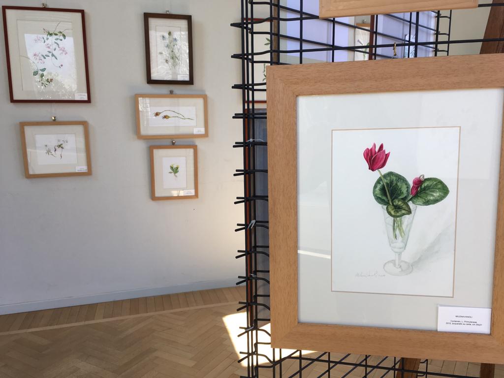 ACQUERELLI BOTANICI DI PRIMAVERA