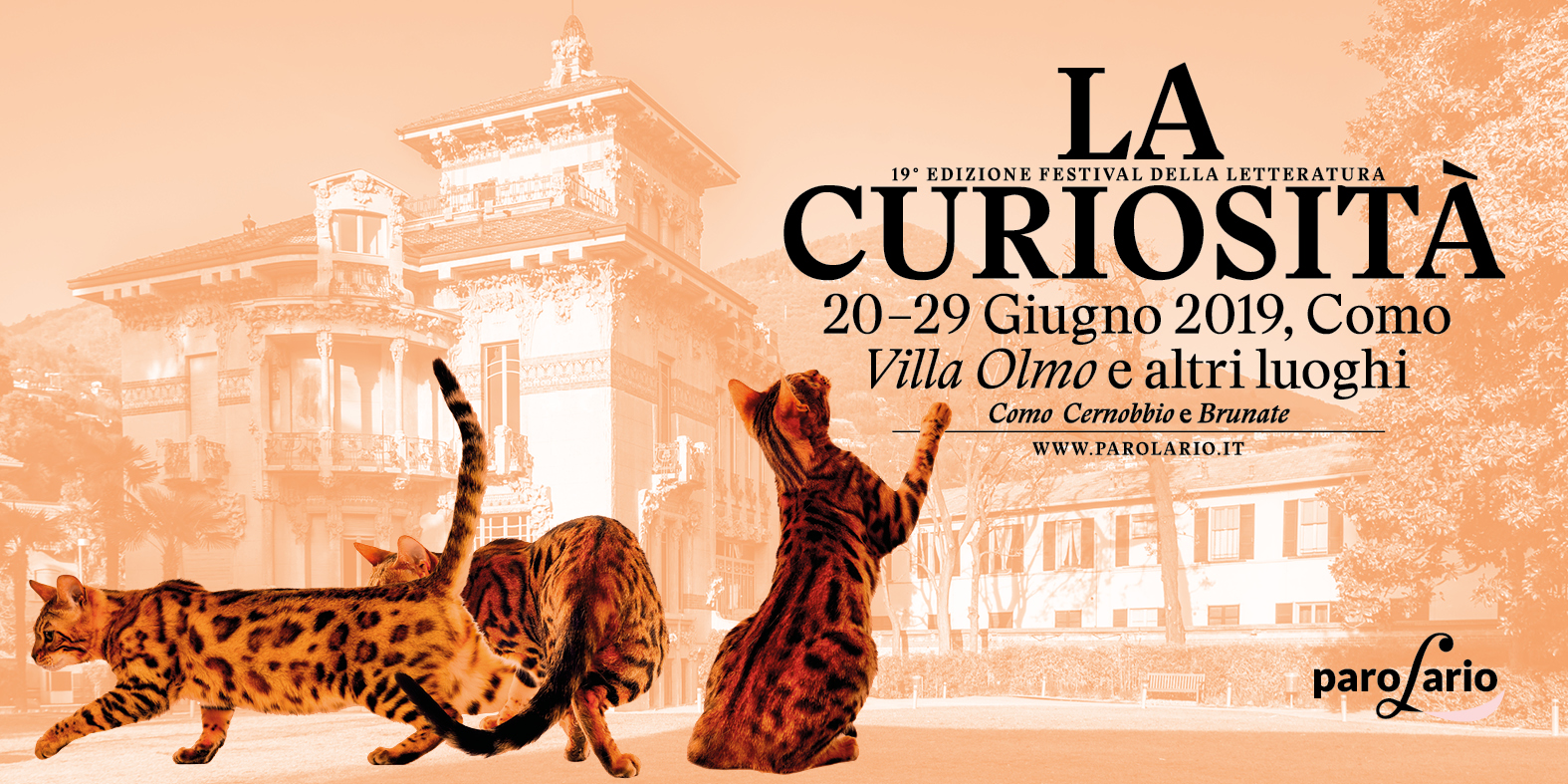 LA CURIOSITÀ – PAROLARIO 2019