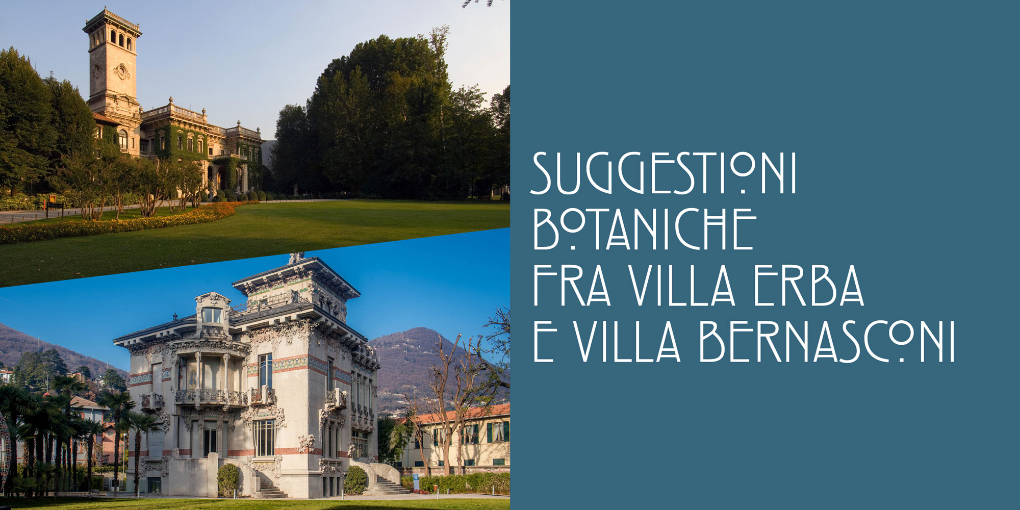 SUGGESTIONI BOTANICHE FRA VILLA ERBA E VILLA BERNASCONI