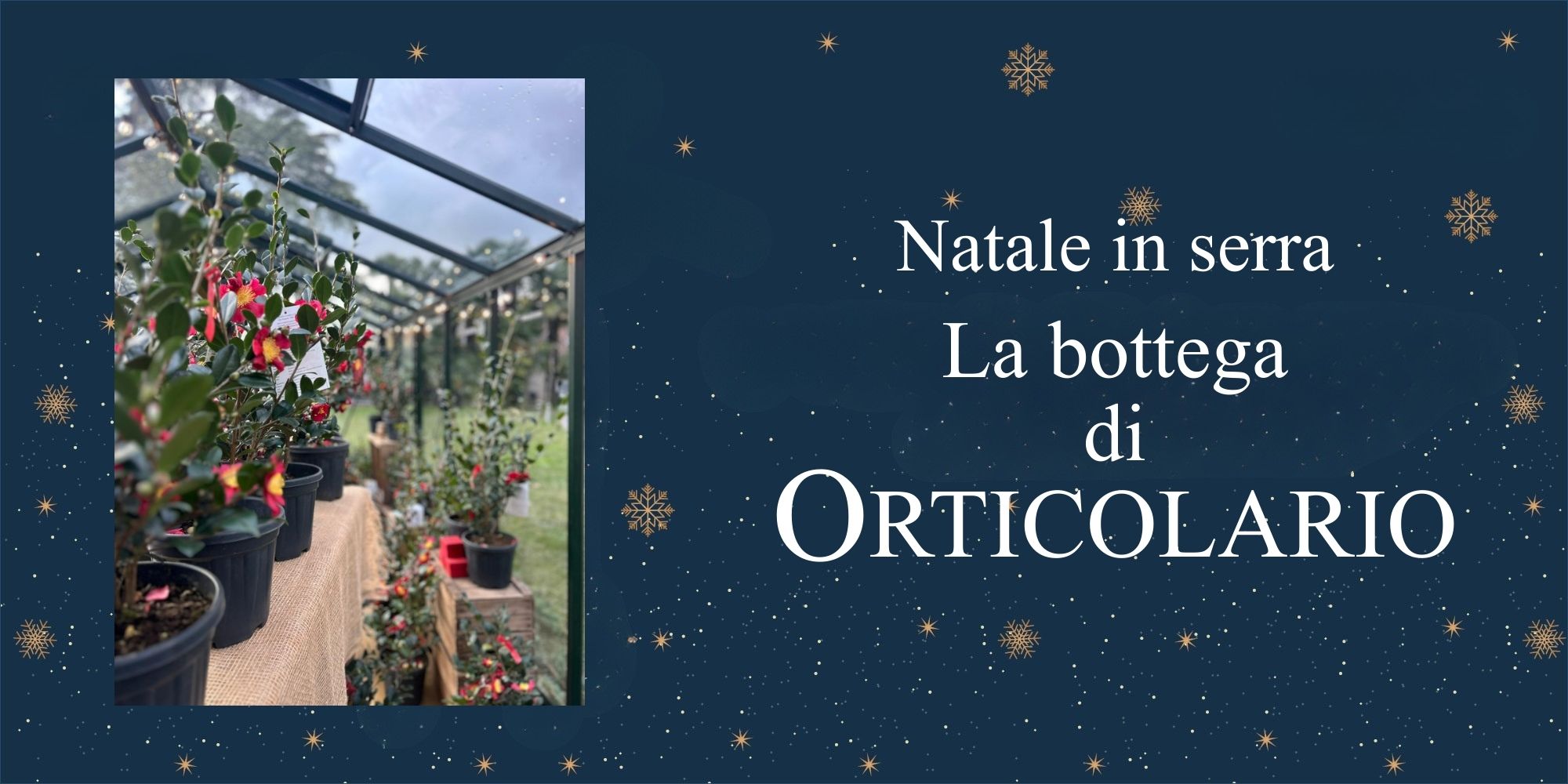 NATALE IN SERRA. LA BOTTEGA DI ORTICOLARIO
