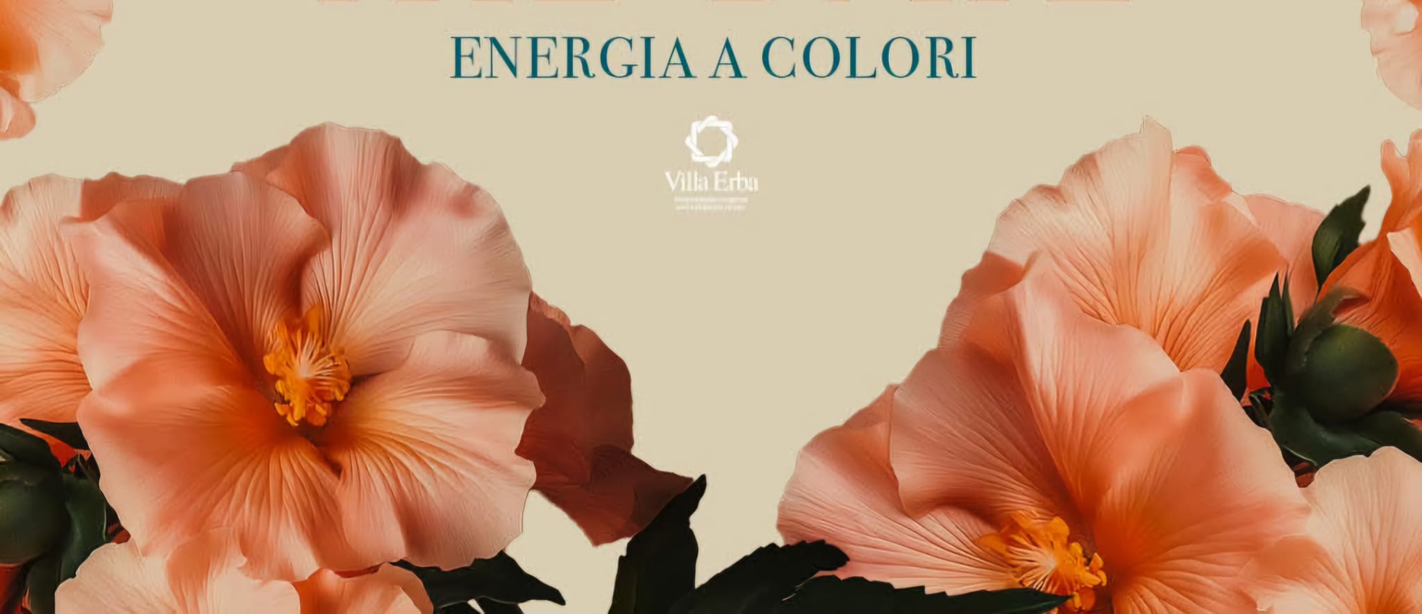 ENERGIA A COLORI