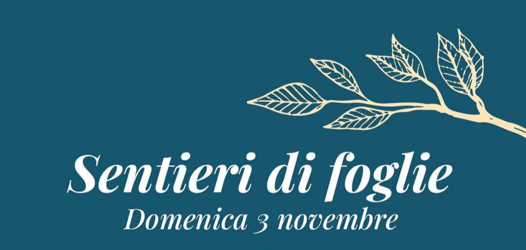 SENTIERI DI FOGLIE